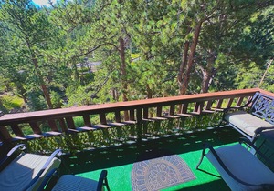 Bright, newly updated condo with river view off deck, close to the National Park