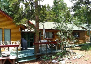 Charming log cabin for peaceful mountain getaway!