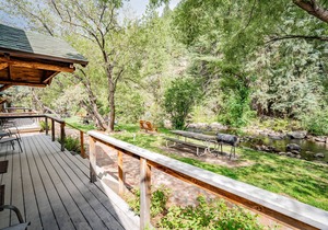 Colorado Bear Creek Cabin 1
