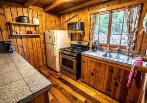 Colorado Bear Creek Cabin 3