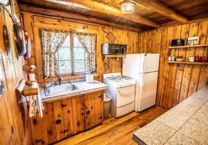 Colorado Bear Creek Cabin 6