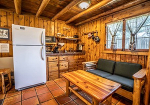 Colorado Bear Creek Cabin 7