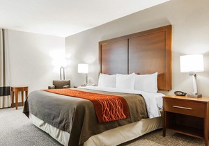 Comfort Inn Denver East