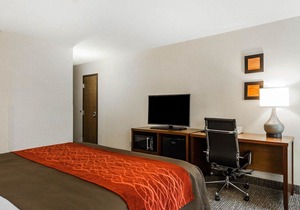 Comfort Inn Denver East