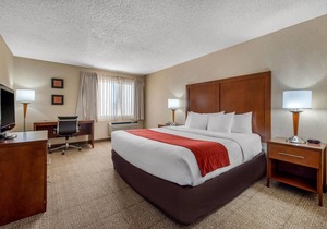 Comfort Inn Denver Southeast Area