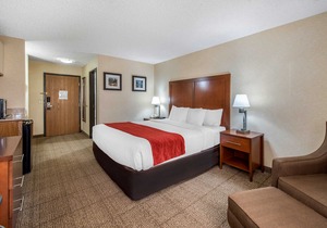 Comfort Inn Denver Southeast