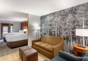 Comfort Suites Golden West on Evergreen Parkway