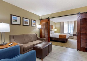 Comfort Suites Lakewood - Denver