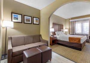 Comfort Suites Lakewood - Denver