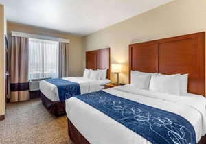 Comfort Suites Near Denver Downtown