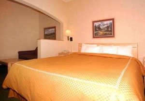 Comfort Suites Summit County