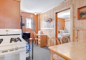 Cozy dog-friendly lodge with kitchen, entertainment, ski access & shared grill