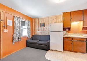 Cozy dog-friendly lodge with kitchen, entertainment, ski access & shared grill