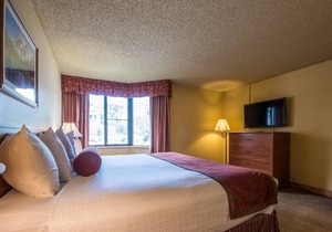 Cozy + Elegant Mountain Condo with Sauna Access!