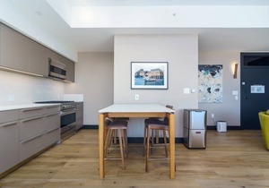 Elegant & Bright Apt W/Balcony And Roof Top Patio