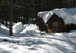 Getaway Cabin Ideally Located Between Wolf Creek and Pagosa Springs!