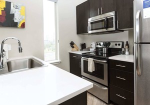 Kasa The Comma | Inviting 1BD in the Heart of Denver