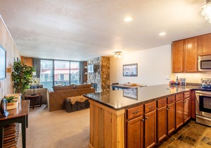 Large nicely appointed condo, giant deck, free WiFi, Heated garage parking