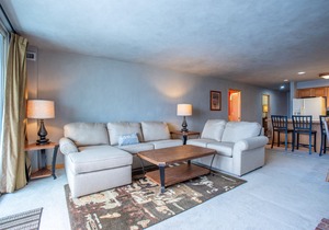 Large nicely appointed condo, giant deck, free WiFi, Heated garage parking, B
