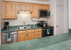 Lionshead Village 4- Bedroom, walk to ski slopes