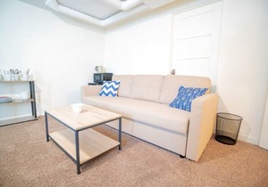 Loftium | Comfy Lower Suite in Congress Park!
