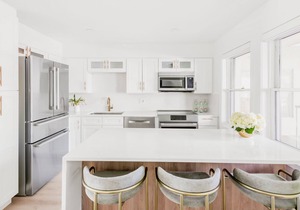Moby House Aspen: A Curated Retreat w/2BR/2BA , AJAX Views n in the Aspen Core