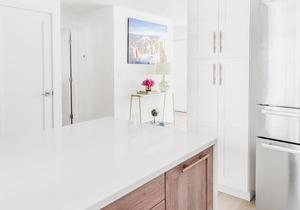 Moby House Aspen: A Curated Retreat w/2BR/2BA , AJAX Views n in the Aspen Core