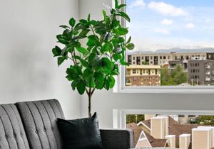 Modern Eclectic Penthouse Loft - Zuni Lofts