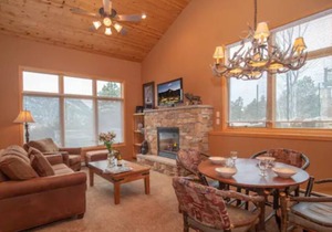 Modern log-cabin style condo, fireplace, patio, hot tub, perfect retreat! #301