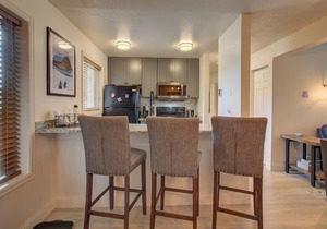 Modern Mt Getaway | 1BR Condo at Shadow Run!