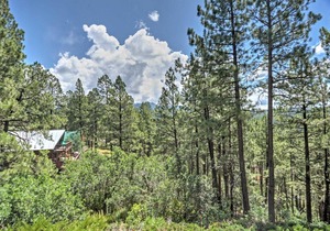 Pagosa Springs Home w/Mtn Views - Near Wolf Creek!