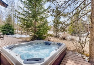 Perfect for Your Family Vacay with yard, hot tub & Pet Friendly! home