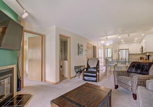 Pet Friendly in Keystone! On River Trail. Walk/Shuttle to Dining, Shops