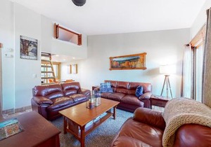 Pitkin Townhome B1