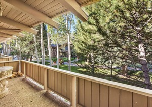 Premier 2 bedroom/2.5 bath Condominium at the Aspen Alps