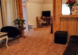 Quiet upstairs studio close to town 420 friendly