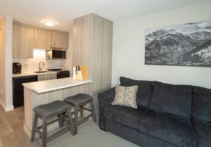 Recently Remodeled Studio Condo in the Heart of Aspen
