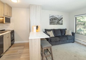 Recently Remodeled Studio Condo in the Heart of Aspen