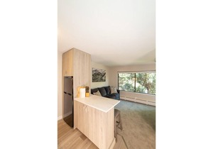 Recently Remodeled Studio Condo in the Heart of Aspen