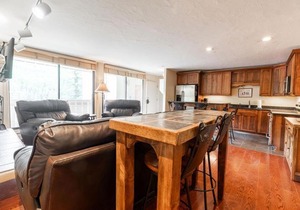 Scorpio Condo with Vail Mountain View