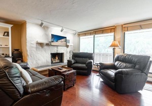 Scorpio Condo with Vail Mountain View