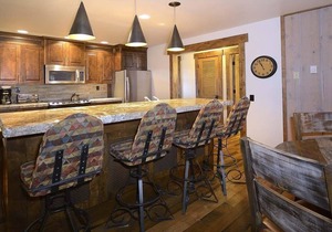 Ski-In/Out Remodeled Condo Next to Slopes! Dog Friendly, Mtn Views, Fireplace