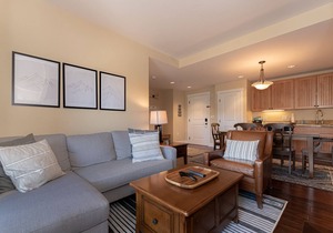 Ski in/Ski Out 2bed/2bath Mountainside Escape