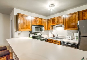 Slopeside 1-Bedroom Condo | Ski-In/Walk-Out!
