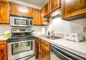 Slopeside 1-Bedroom Condo | Ski-In/Walk-Out!