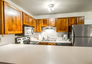 Slopeside 1-Bedroom Condo | Ski-In/Walk-Out!