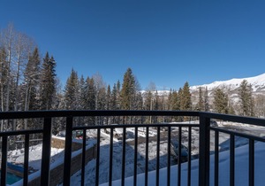 Spacious and Quiet 1-Bedroom Condo With Great Amenities