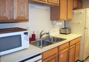 Spacious Condo; Amazing Views! Ski-in/Out, Dog Friendly. Fireplace, Balcony