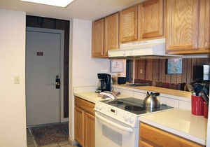 Spacious Condo; Amazing Views! Ski-in/Out, Dog Friendly. Fireplace, Balcony