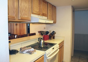 Spacious Condo; Amazing Views! Ski-in/Out, Dog Friendly. Fireplace, Balcony